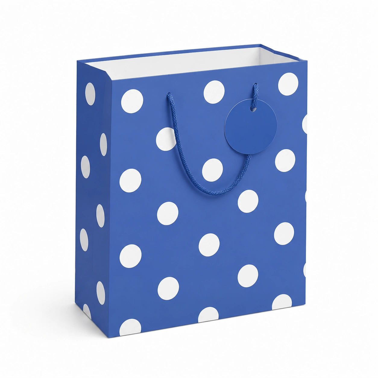 Sacchetto regalo 26 x 12 x 32 cm in carta blu a pois bianchi con manici in corda